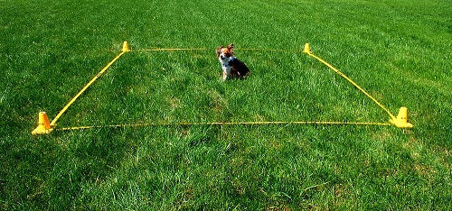 CONE, A MARKER FOR OBEDIENCE - 4 PIECES.