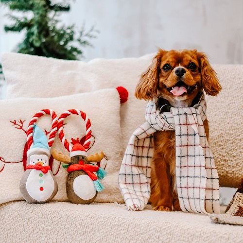 DOG TOY - SNOWMAN