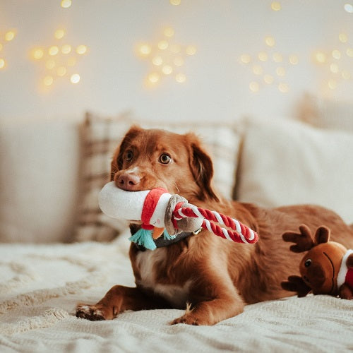 DOG TOY - SNOWMAN