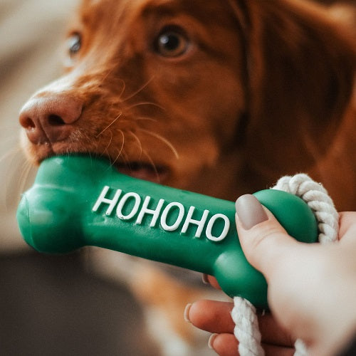 DOG TOY - ROPE WITH A RUBBER BONE