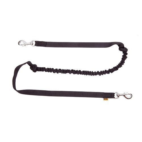 LEASH WITH SHOCK ABSORBER