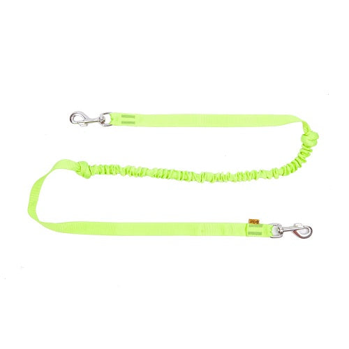 LEASH WITH SHOCK ABSORBER