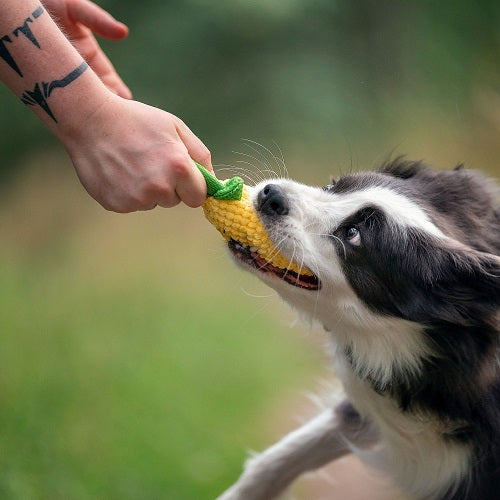 PLUSH DOG TOY - PINEAPPLE