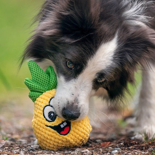 PLUSH DOG TOY - PINEAPPLE