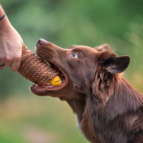 PLUSH DOG TOY - TACO