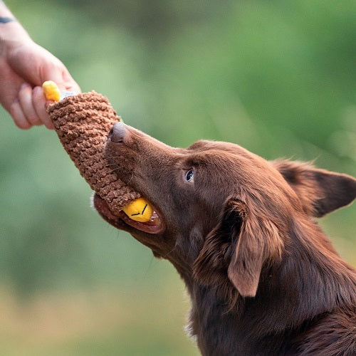 PLUSH DOG TOY - TACO