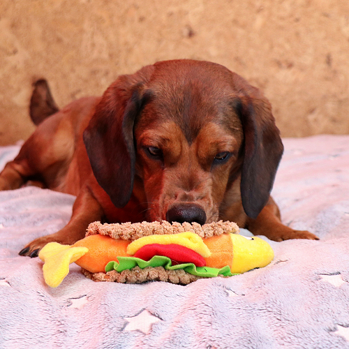 PLUSH DOG TOY - TACO