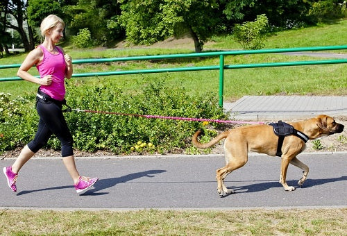 RUNNING SET PROFI BELT+LEASH