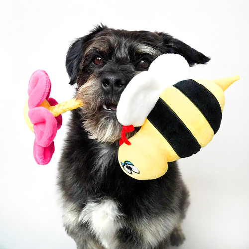 SENSORY DOG TOY - BETI THE BEE