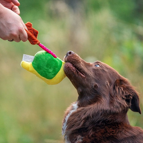 SENSORY DOG TOY - THEODOR THE SNAIL