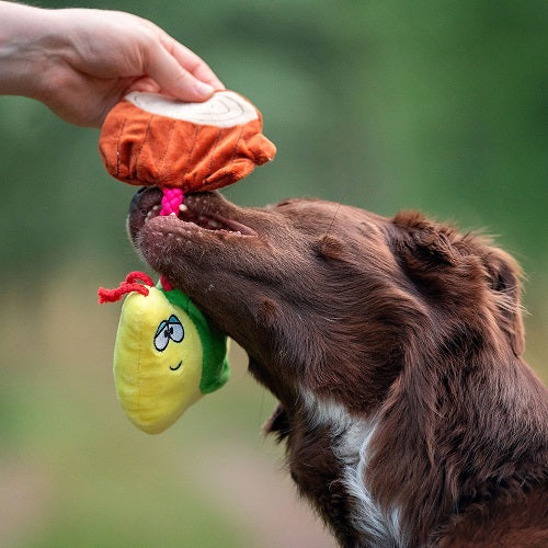 SENSORY DOG TOY - THEODOR THE SNAIL