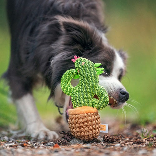 SQUEAKY DOG TOY - DOLORES