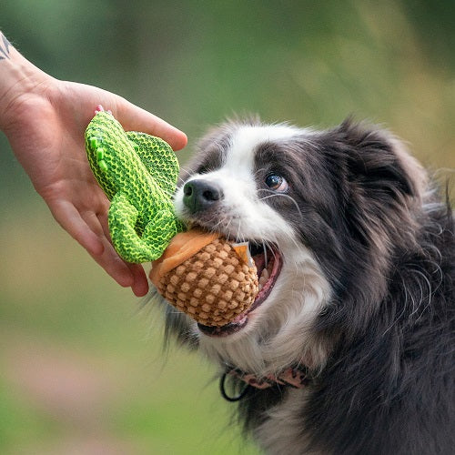 SQUEAKY DOG TOY - DOLORES