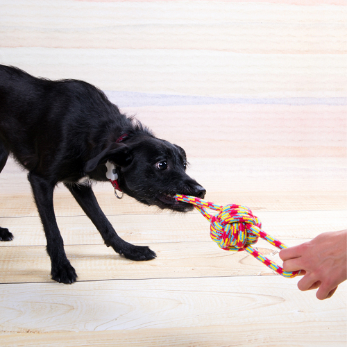 TUG BALL "PARROT" FOR DOG